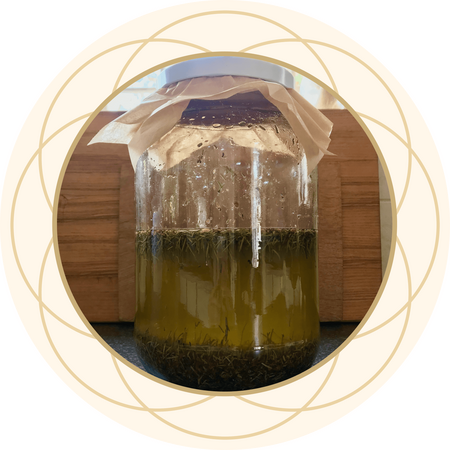 Herbal Oil Infusion